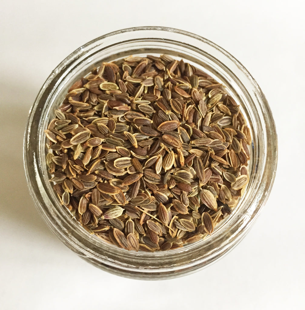 plant dill seed Dill Seed