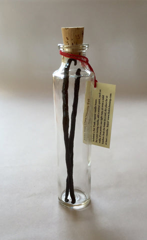 Vanilla Extract Kit