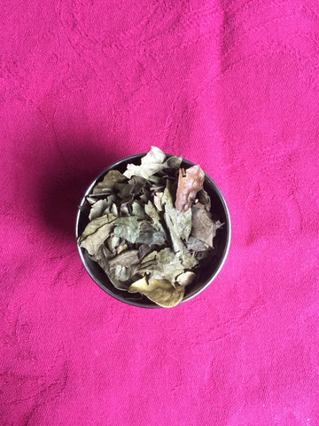 Curry leaves