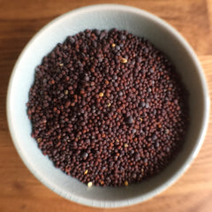 Brown Mustard Seed