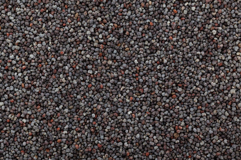 Poppy Seeds