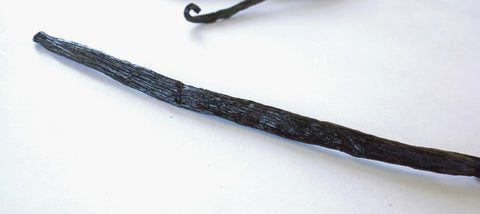 Vanilla Bean